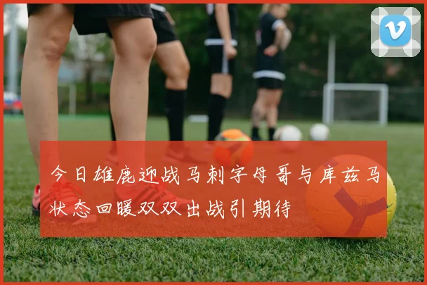 今日雄鹿迎战马刺字母哥与库兹马状态回暖双双出战引期待